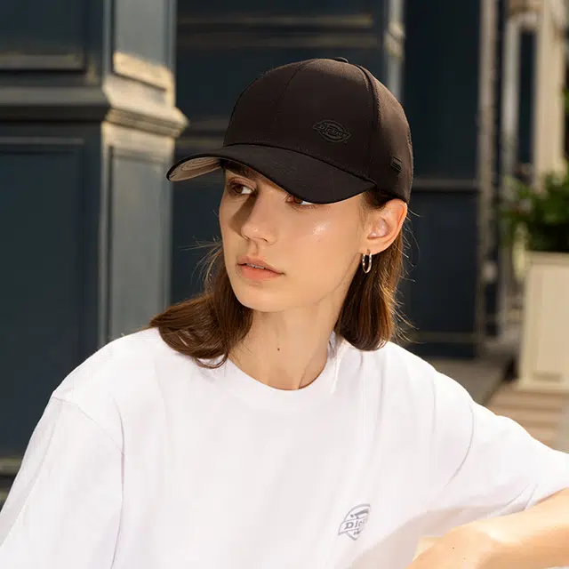 Dickies logo