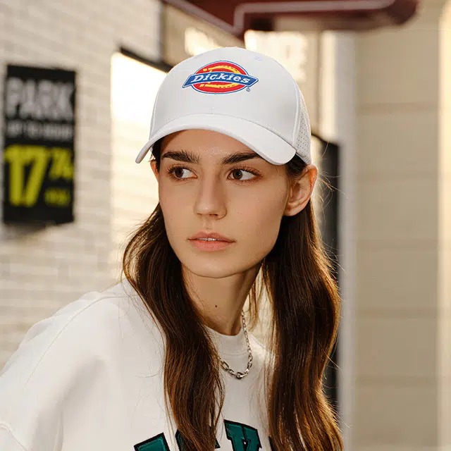 Dickies