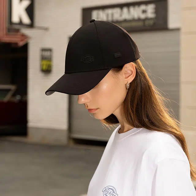 Dickies logo
