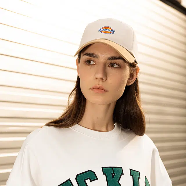 Dickies logo