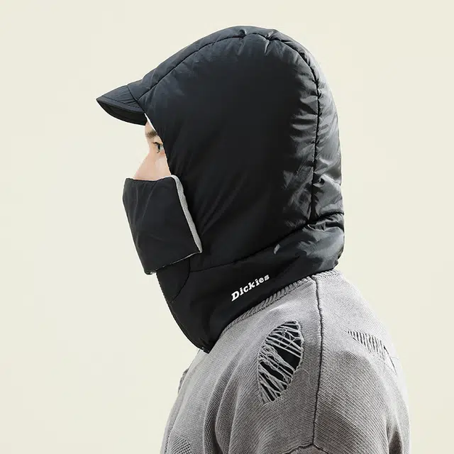 Dickies logo