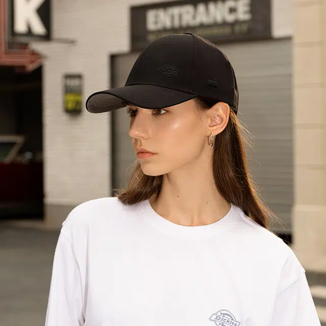 Dickies logo