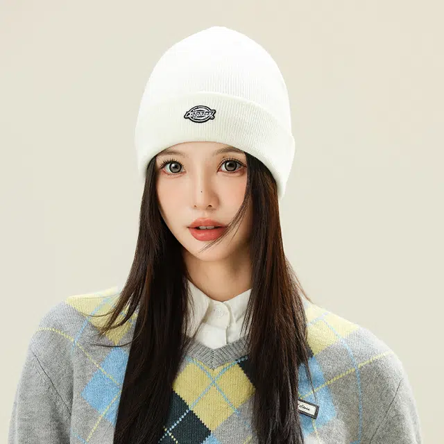 Dickies LOGO