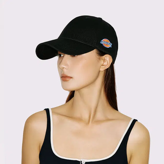 Dickies