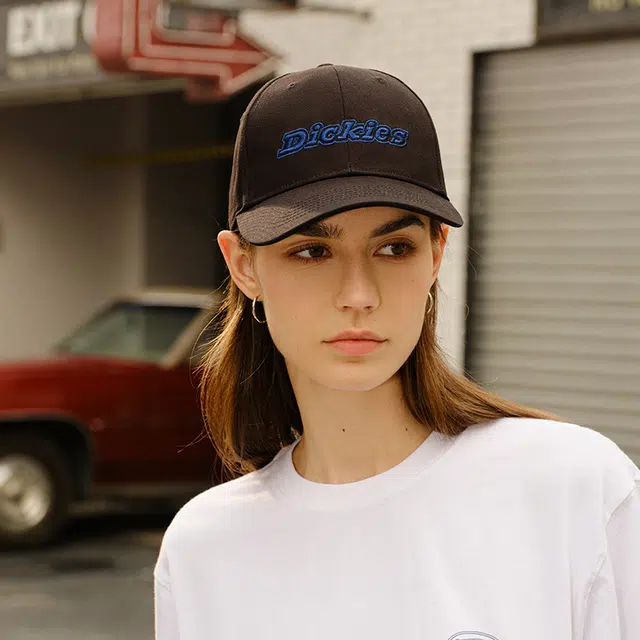 Dickies logo
