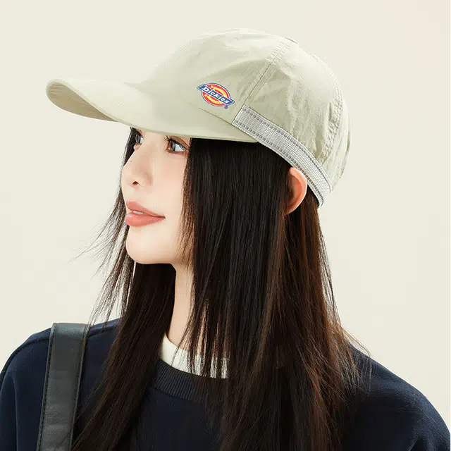 Dickies LOGO