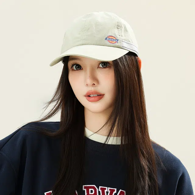 Dickies LOGO