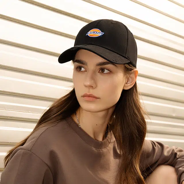 Dickies logo