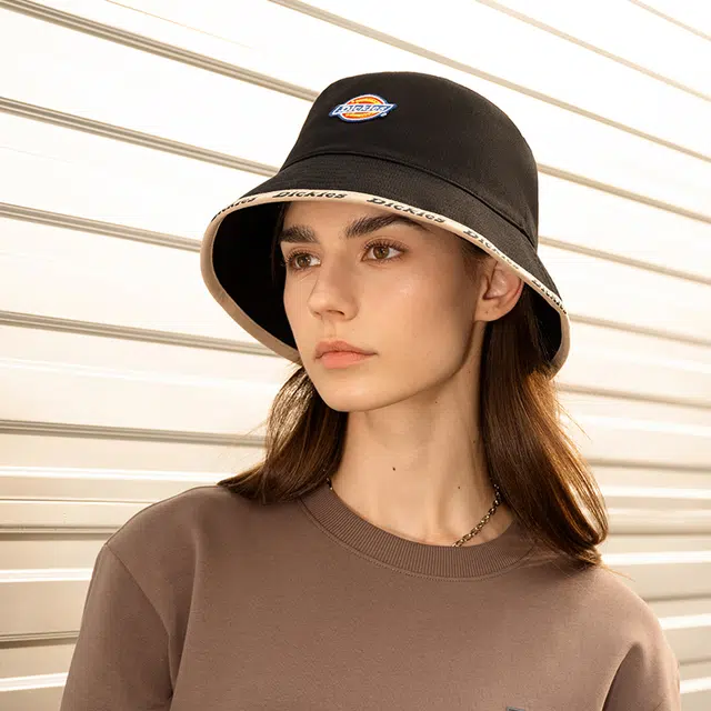 Dickies