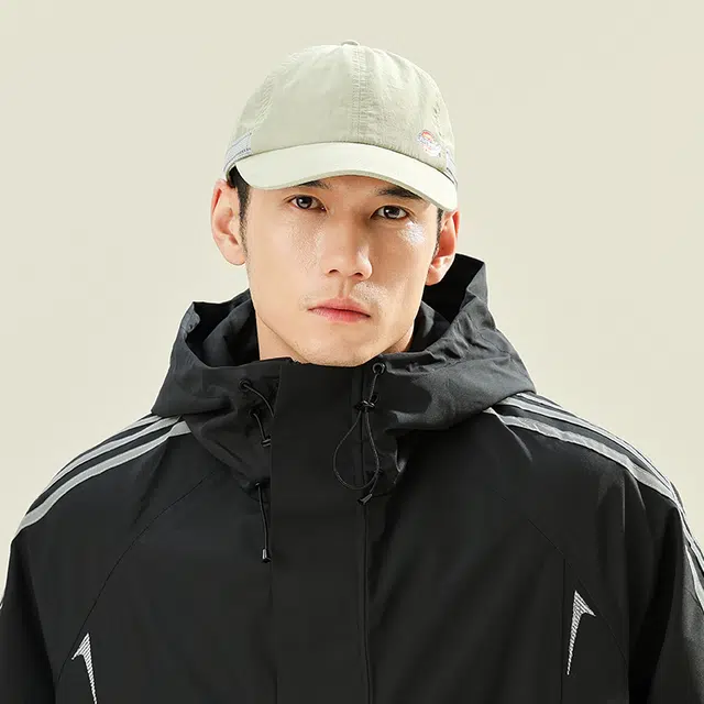 Dickies LOGO