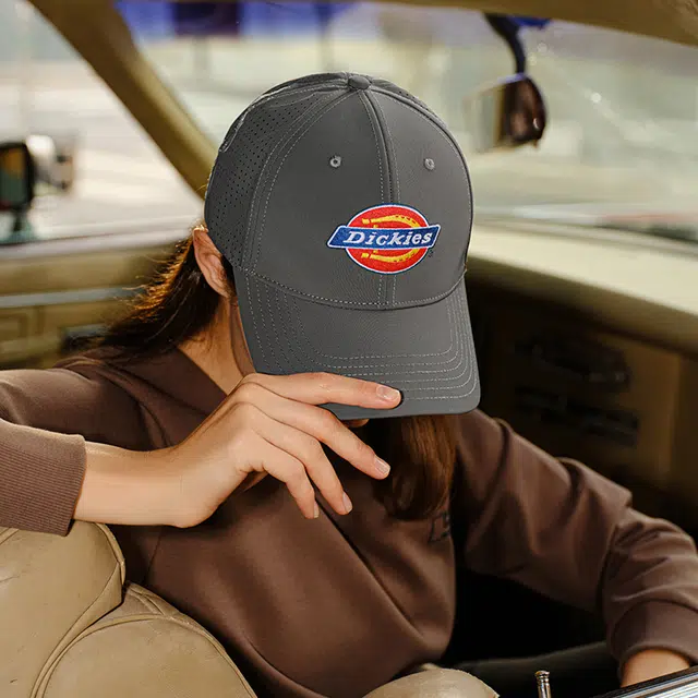Dickies