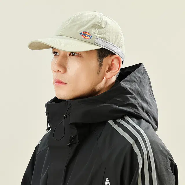 Dickies LOGO