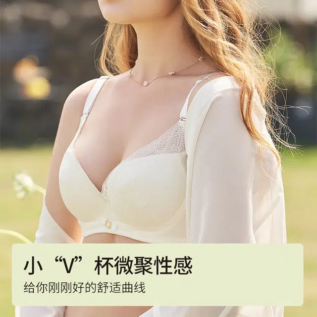 夏娃之秀 无痕聚拢透气上托收副乳文胸 女款 礼盒装