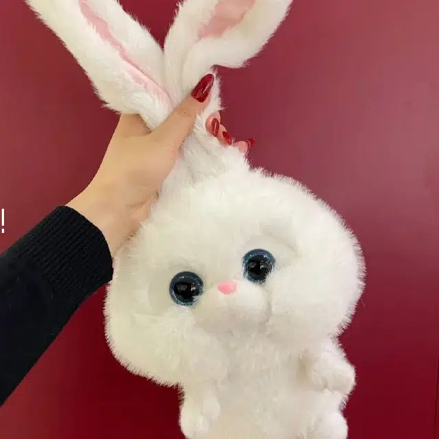 AZLCL 35cm50cm65cm