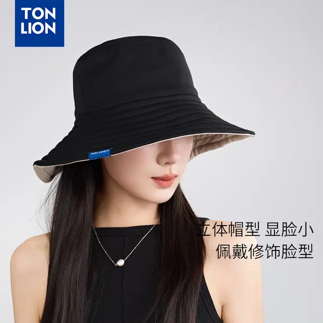 tonlion