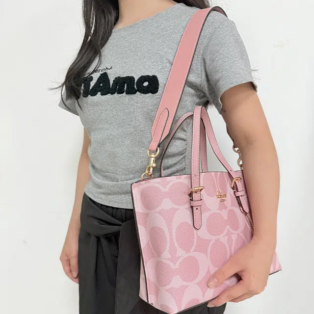 COACH Mollie 25 Tote