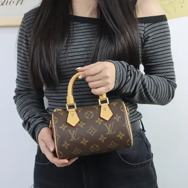LOUIS VUITTON Speedy Nano diy