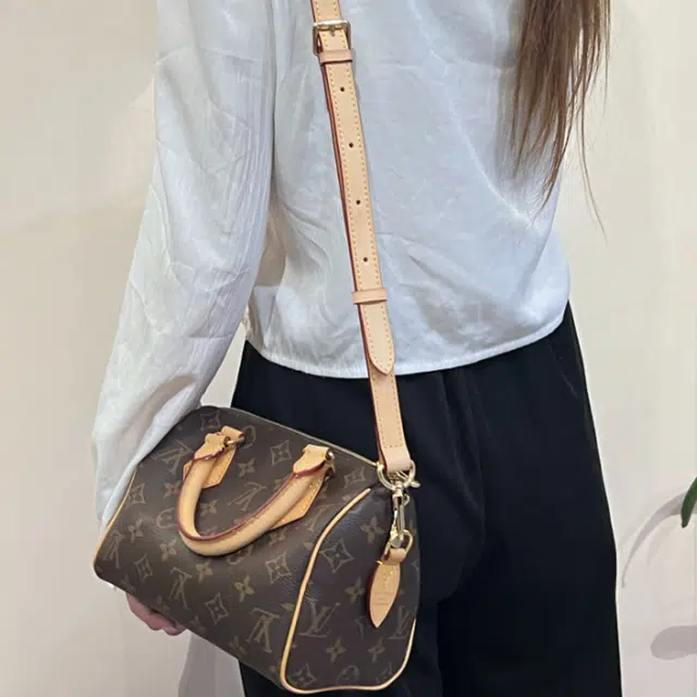 LOUIS VUITTON Speedy 20 diy