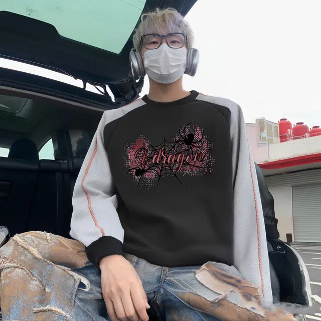 fdragon ins