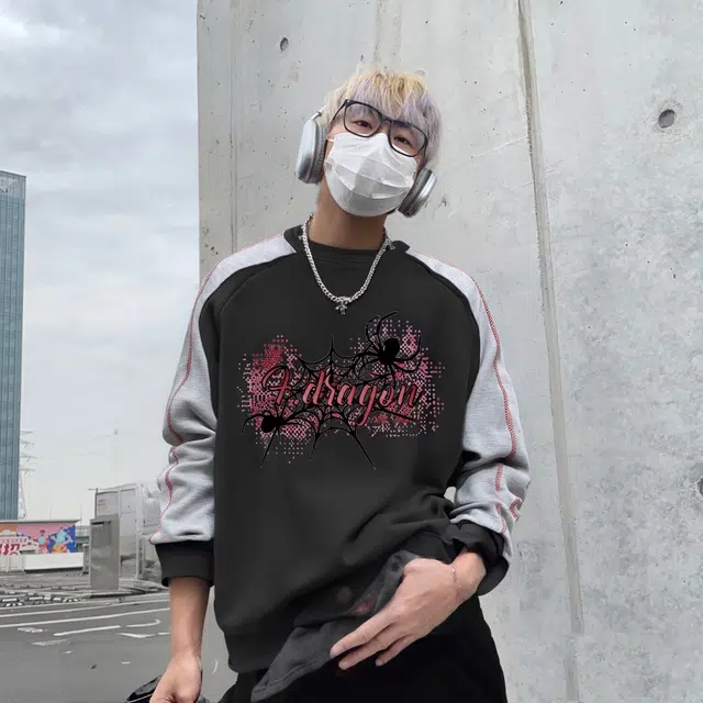 fdragon ins