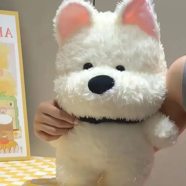 23cm