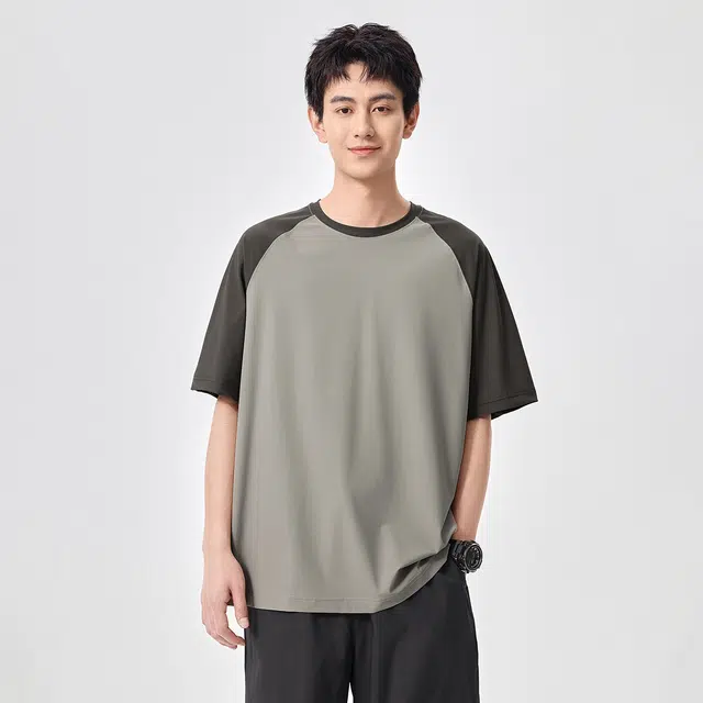 Hansca T