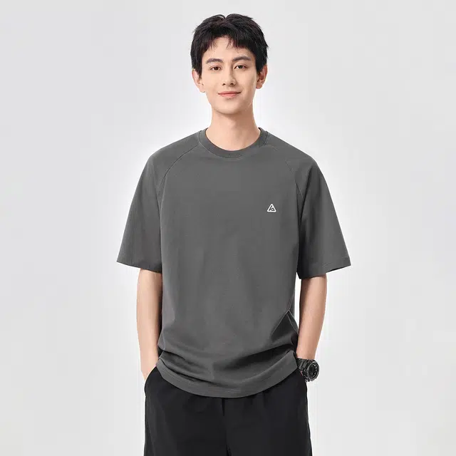 Hansca T