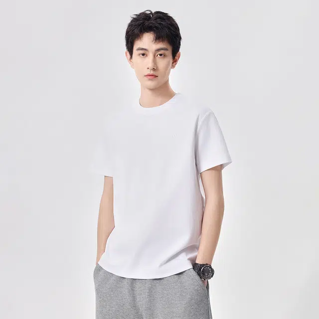 Hansca T