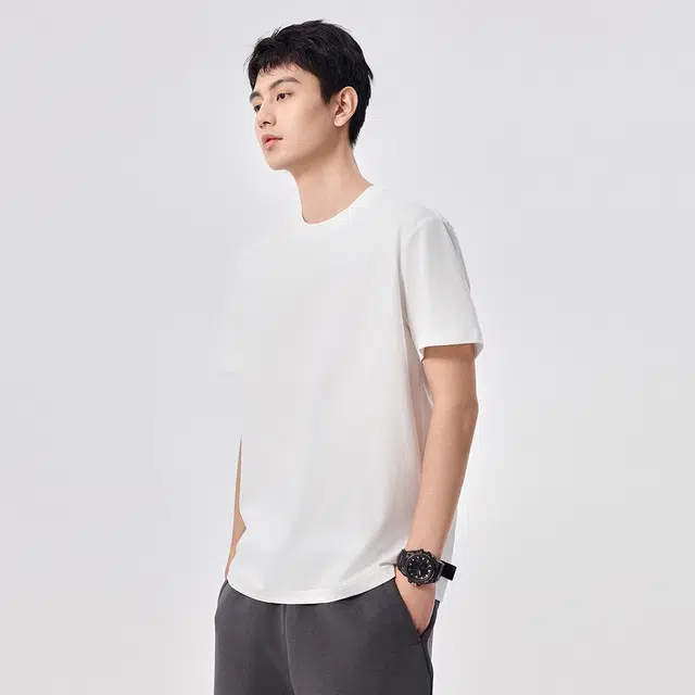 Hansca T