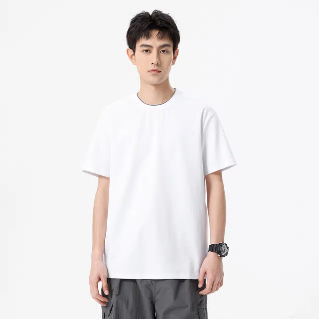 Hansca T