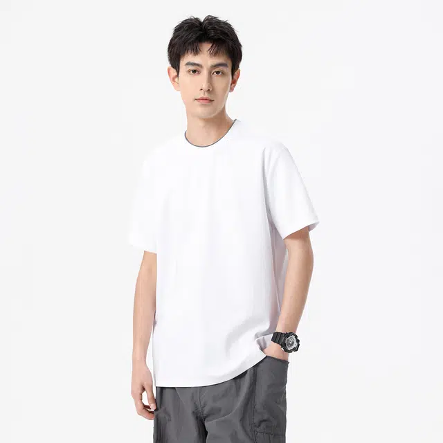 Hansca T