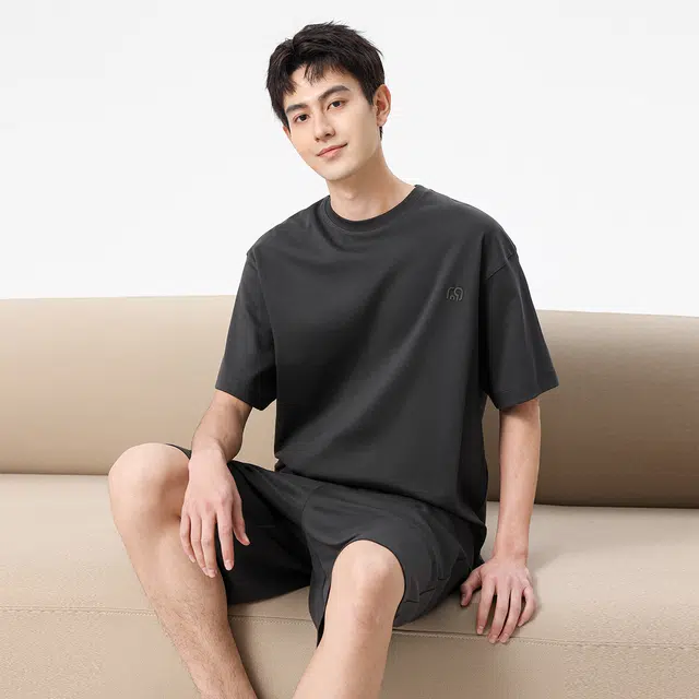 Hansca T