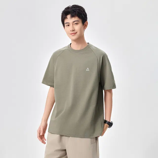 Hansca T