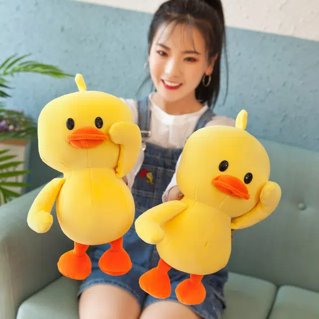 20cm25cm35cm45cm55cm