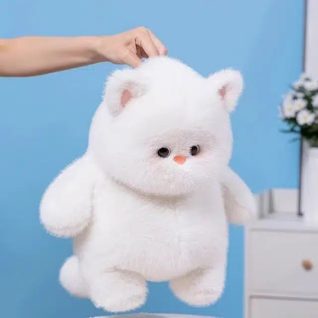 37cm50cm