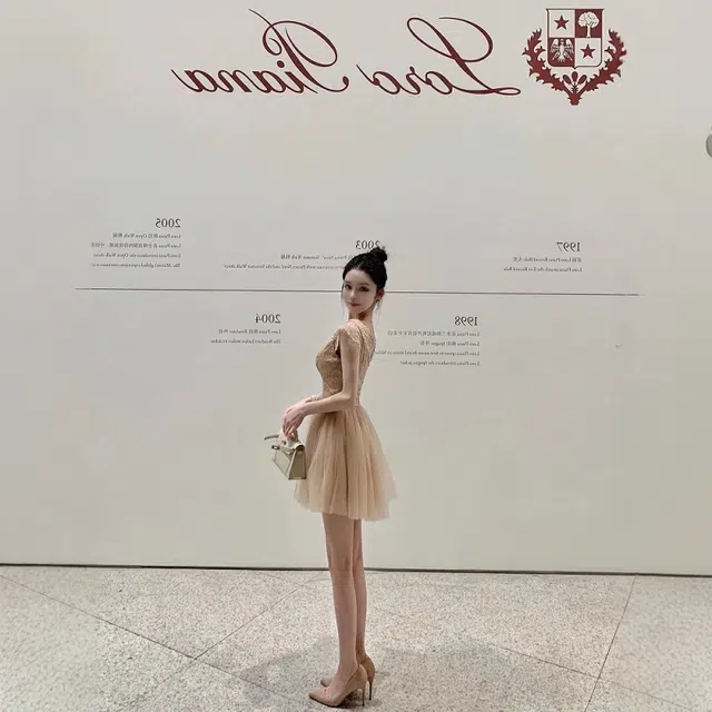 格子苔 【轻纱曼舞】蕾丝拼接网纱设计收腰显瘦无袖连衣裙 女款