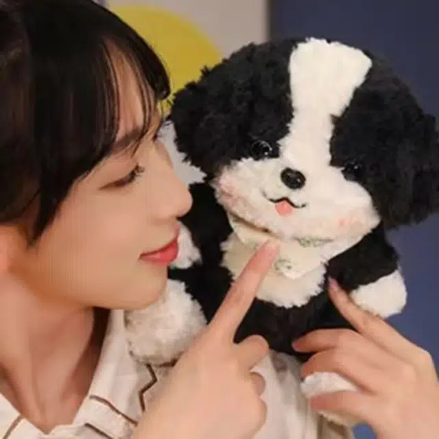 23cm