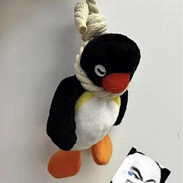 16cm