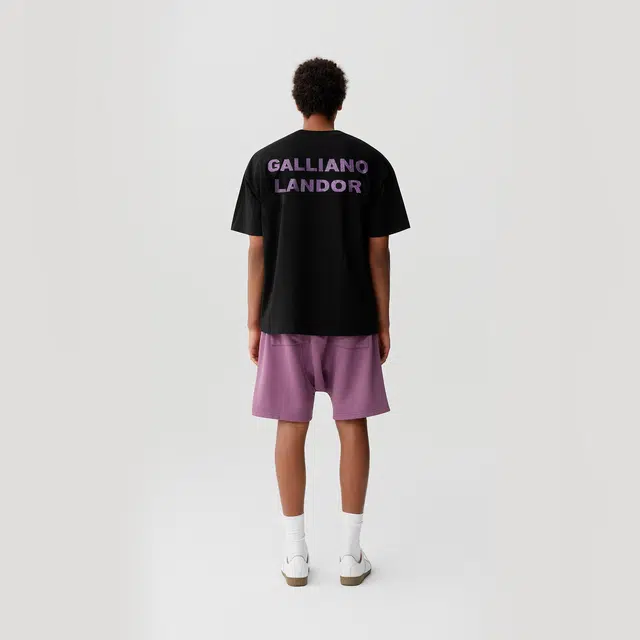 GALLIANO LANDOR logoT
