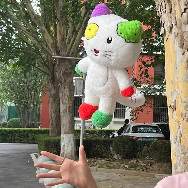 30cm