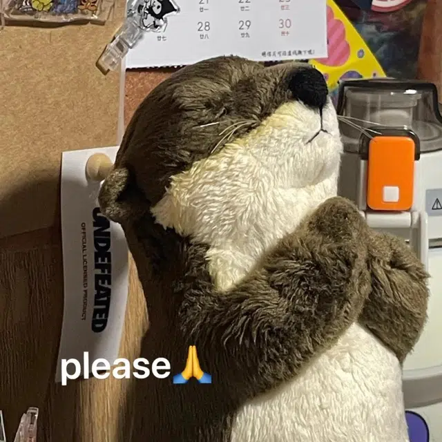 20cm