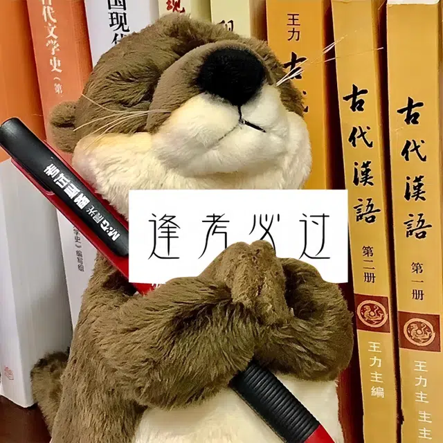 20cm