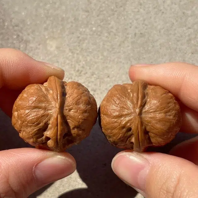 唐述 礼赠新中式国风 转运招财好运【精品 元宝铁 】招财金蟾精准配对元宝招财蛤蟆头 桃核 把件 男女同款情侣款