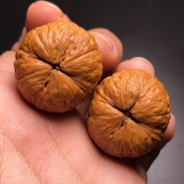 唐述 礼赠新中式国风 转运招财好运【精品 元宝铁 】招财金蟾精准配对元宝招财蛤蟆头 桃核 把件 男女同款情侣款