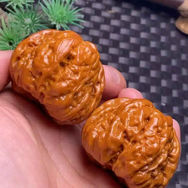 唐述 金蟾蛤蟆头精品小众狮子头打底一对精选配对延庆老树皮质盘出富贵路平步青云一研为定好运 文玩核桃 把件 男女同款情侣款