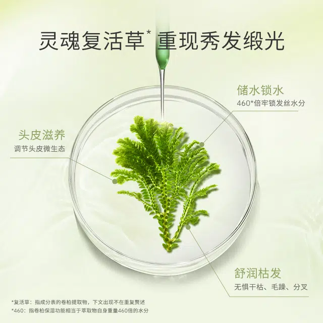 460ml