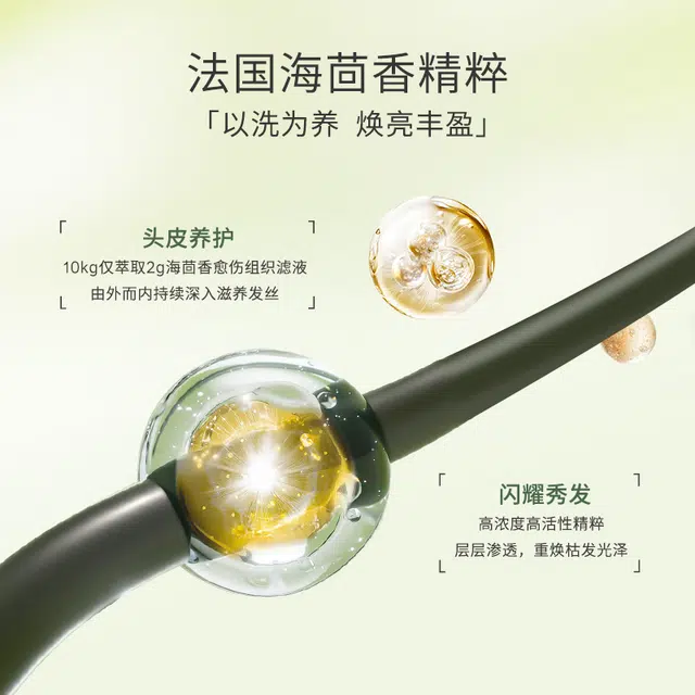 植迷荟 海茴香丰养精油洗发乳去屑丰盈 护发深层滋养防断发