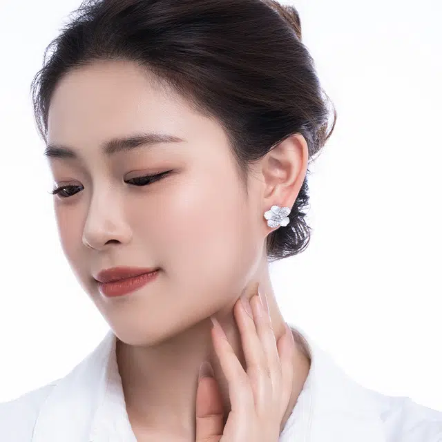 ins S925