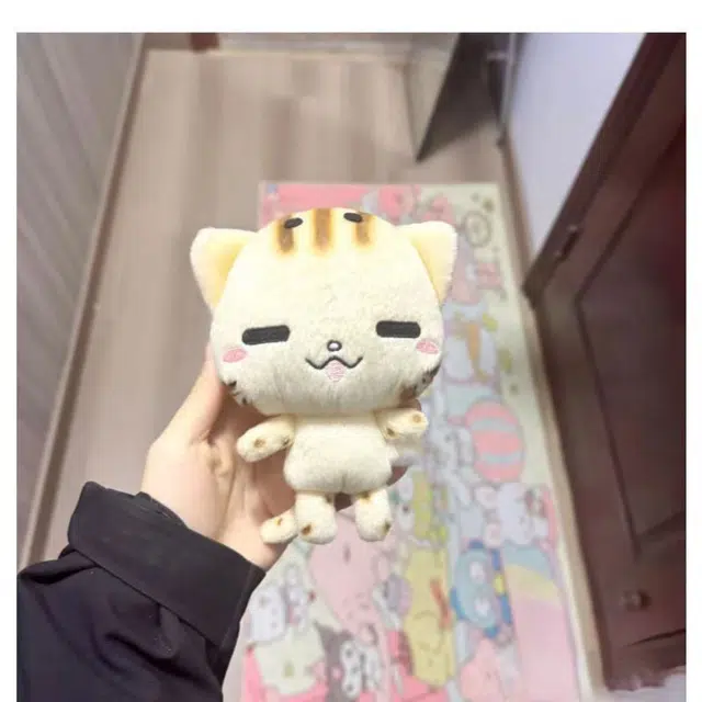 15cm