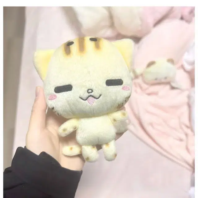 15cm
